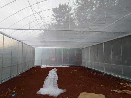 昆明养殖温室大棚建造